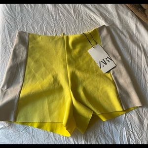 Lime and Nude Colorblock Shorts
